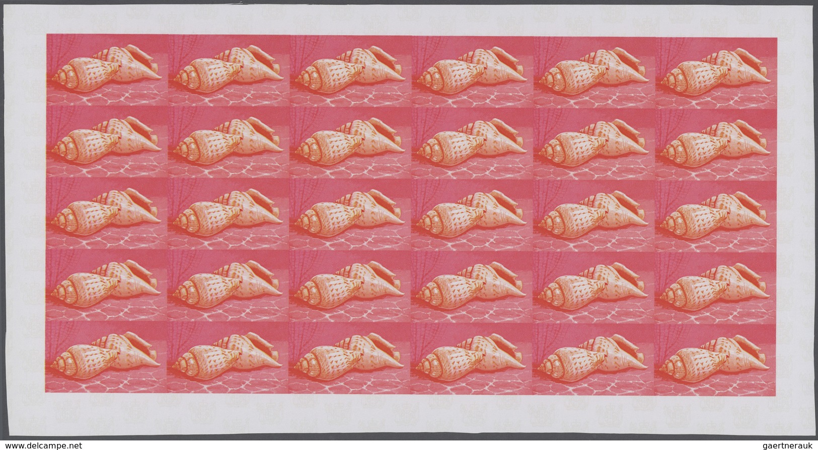 25751 Thematik: Tiere-Meerestiere-Muscheln / Animals-sea Animals-shells: 1974, Cook Islands. Progressive P - Coquillages