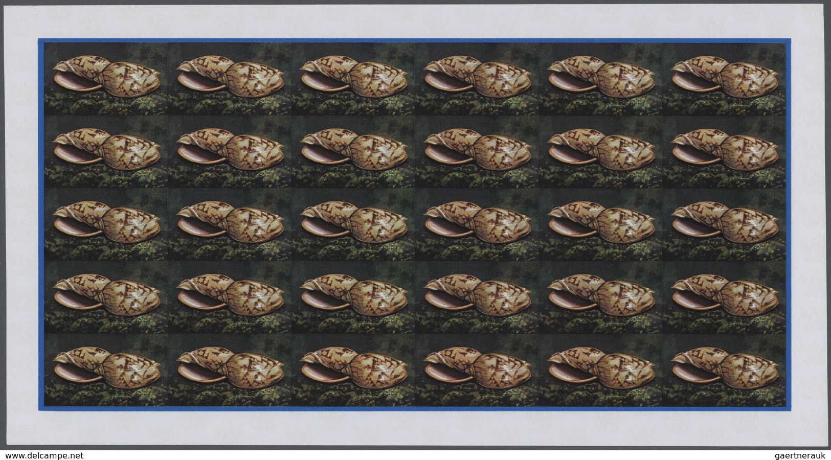 25752 Thematik: Tiere-Meerestiere-Muscheln / Animals-sea Animals-shells: 1974, Cook Islands. Progressive P - Coquillages