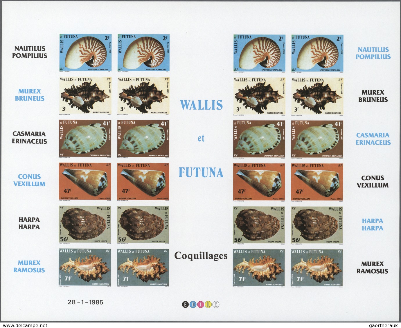 25760 Thematik: Tiere-Meerestiere-Muscheln / Animals-sea Animals-shells: 1985, WALLIS And FUTUNA: Conches - Muscheln