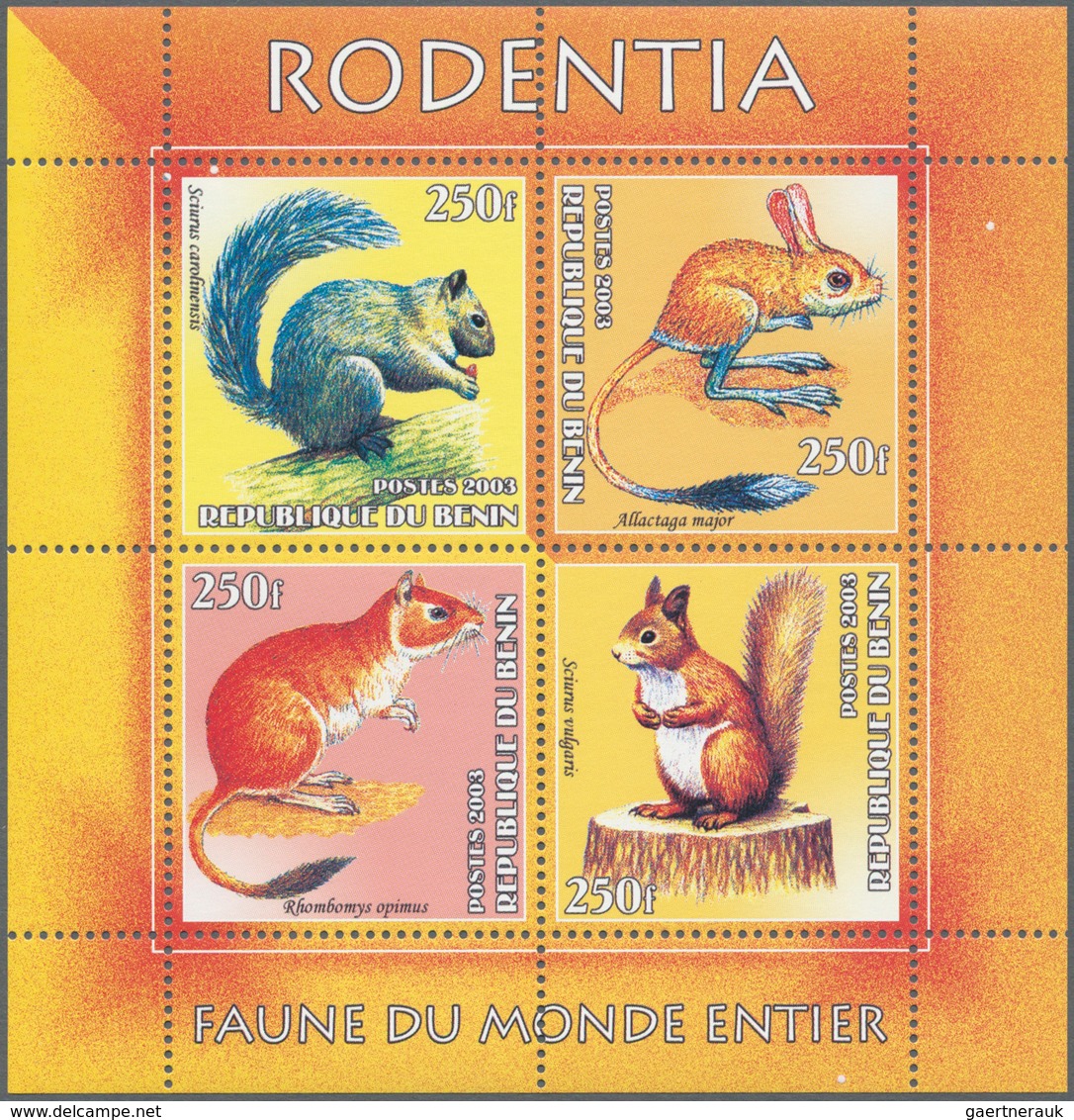 25762 Thematik: Tiere-Nagetiere / Animals-rodents: 1960/2000 (approx), Various Countries. Accumulation Of - Roditori