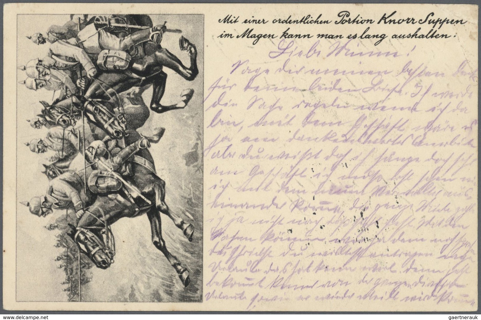 25765 Thematik: Tiere-Pferde / animals-horses: 1860/2000 (ca.), vielseitiger Sammlungsposten von ca. 240 B