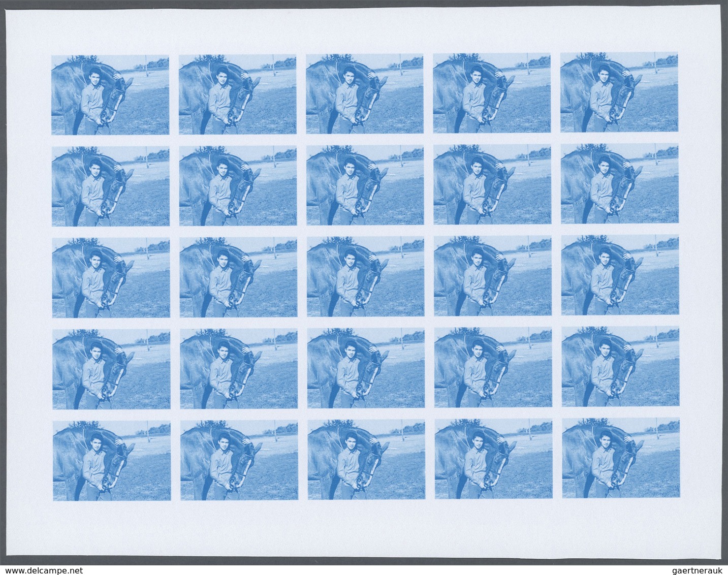25767 Thematik: Tiere-Pferde / Animals-horses: 1988, Morocco. Progressive Proofs Set Of Sheets For The Iss - Chevaux