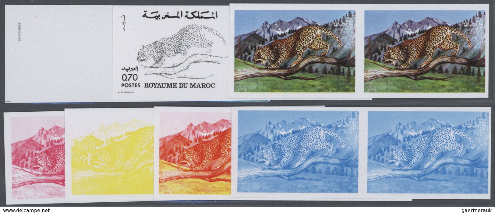 25769 Thematik: Tiere-Raubtiere / Animals-predacious Cats: 1974, Morocco. Lot Containing Progressive Proof - Autres & Non Classés