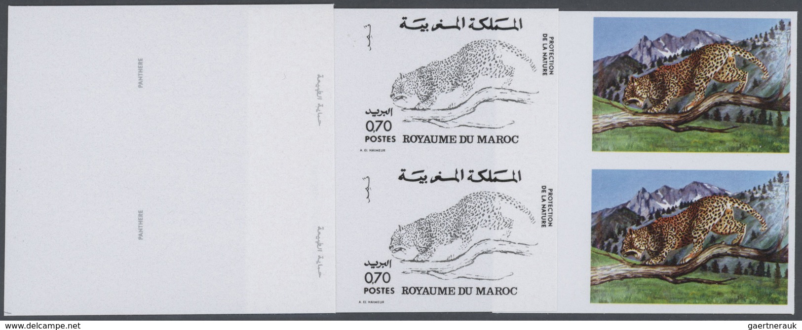 25769 Thematik: Tiere-Raubtiere / Animals-predacious Cats: 1974, Morocco. Lot Containing Progressive Proof - Autres & Non Classés