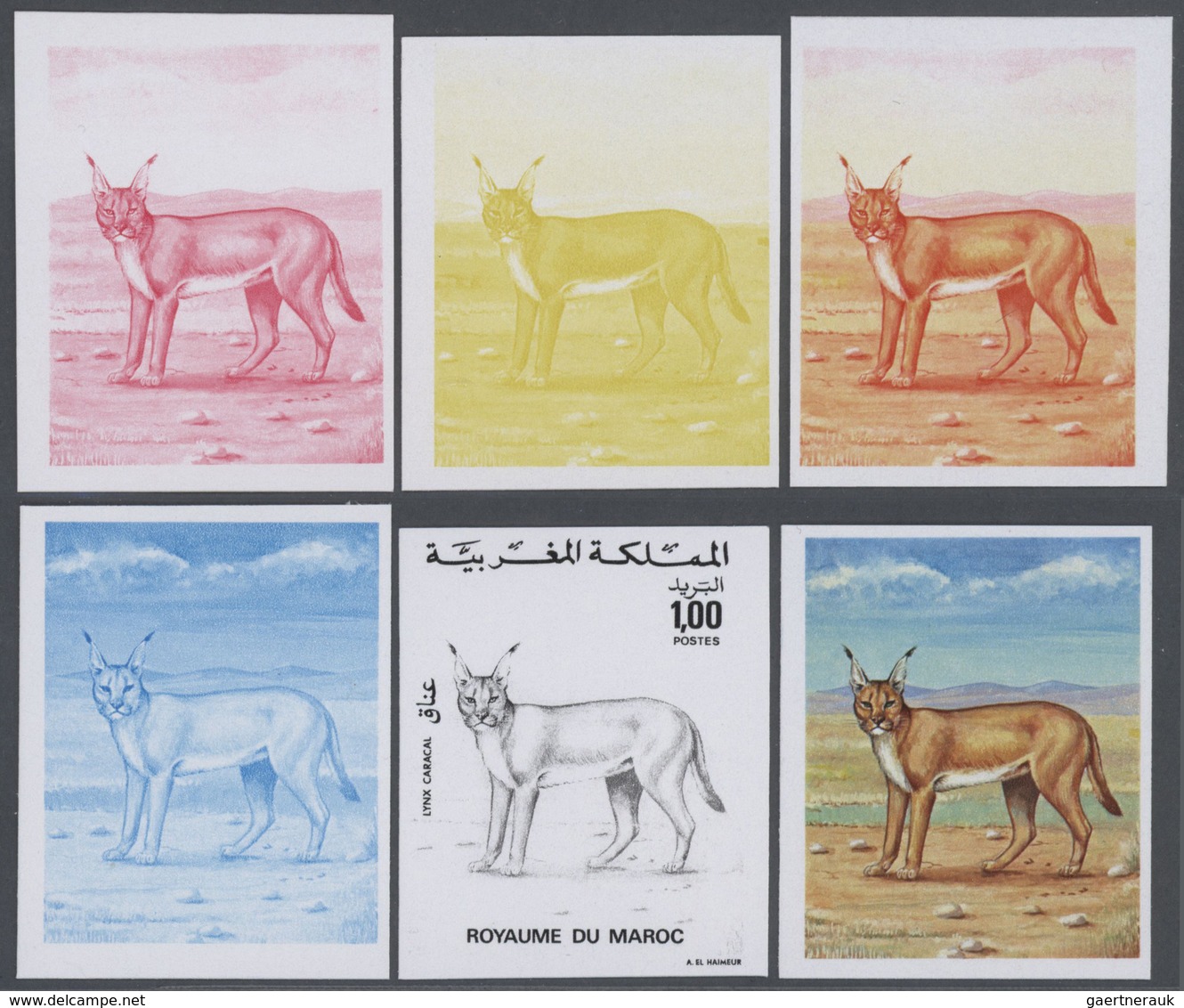 25770 Thematik: Tiere-Raubtiere / Animals-predacious Cats: 1975, Morocco. Lot Containing Progressive Proof - Autres & Non Classés