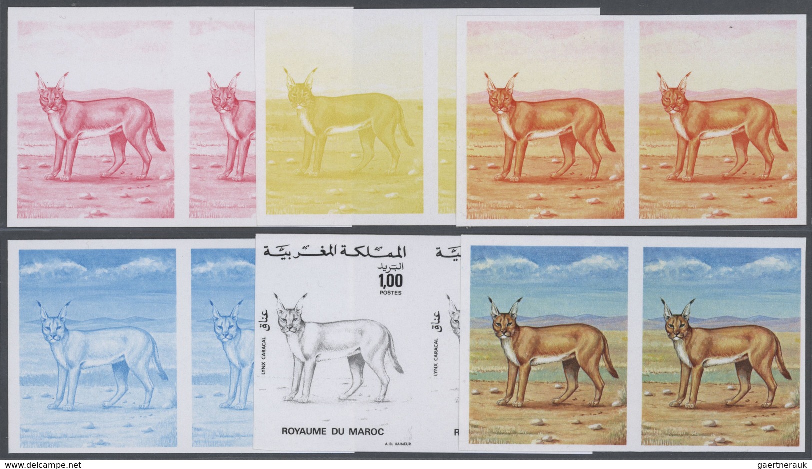 25770 Thematik: Tiere-Raubtiere / Animals-predacious Cats: 1975, Morocco. Lot Containing Progressive Proof - Autres & Non Classés