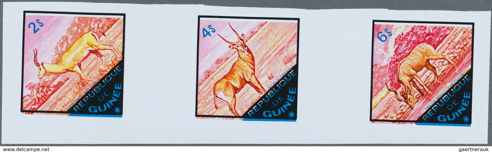 25784 Thematik: Tiere-Schalwild / Animals- Stag,chamois...: 1960/2000 (approx), Various Countries. Accumulat - Gibier