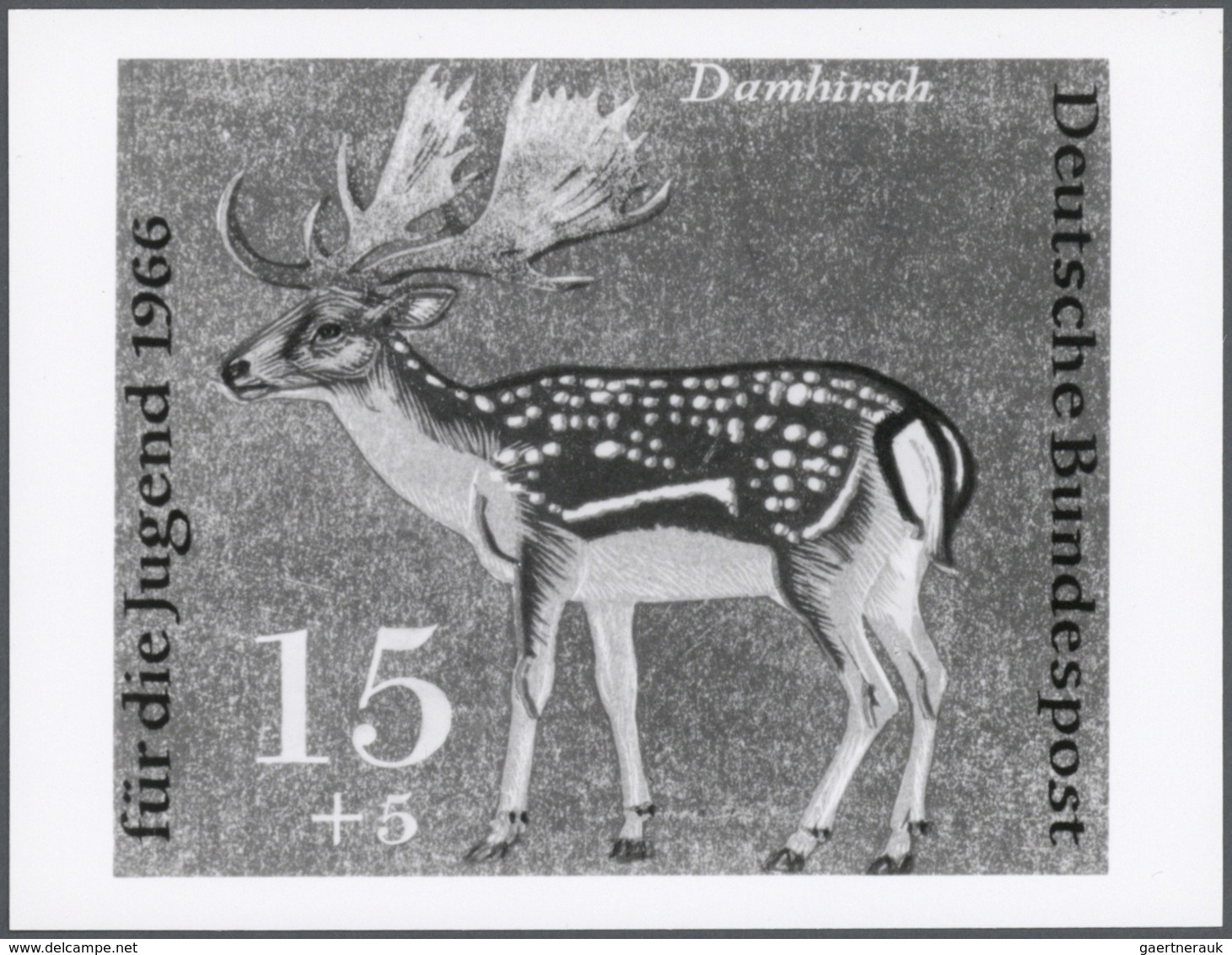 25785 Thematik: Tiere-Schalwild / Animals- Stag,chamois...: 1966, Bundesrepublik Deutschland, Jugendmarken " - Gibier