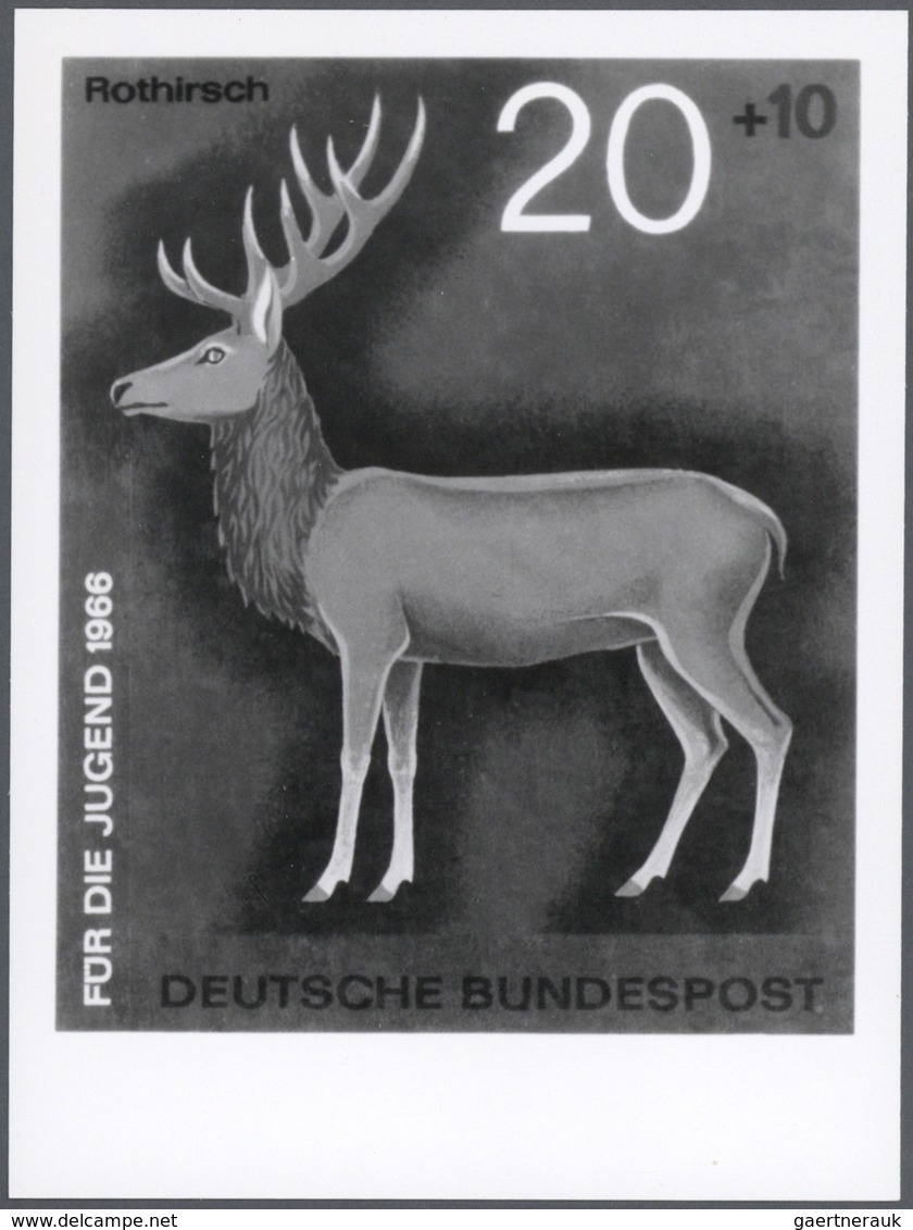 25785 Thematik: Tiere-Schalwild / Animals- Stag,chamois...: 1966, Bundesrepublik Deutschland, Jugendmarken " - Gibier