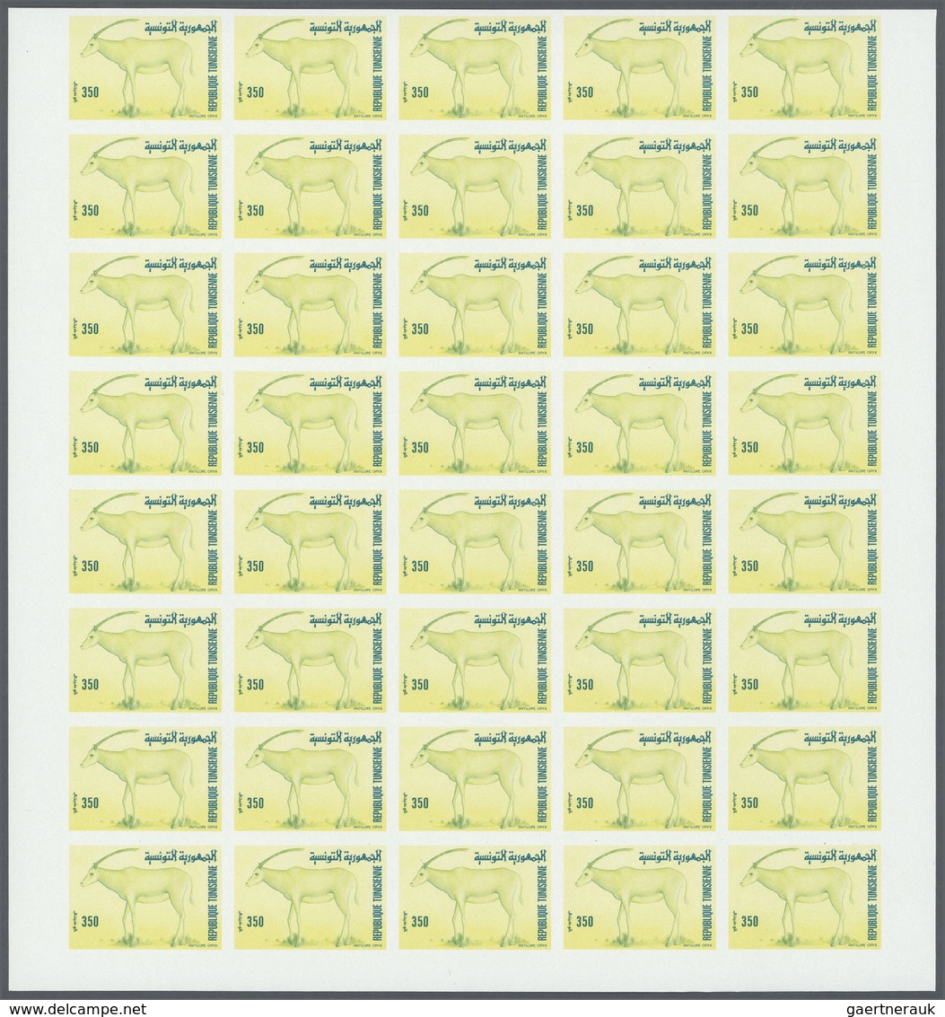 25786 Thematik: Tiere-Schildkröten / Animals-turtles: 1989, Tunisia. Progressive Proofs Set Of Sheets For - Tortues