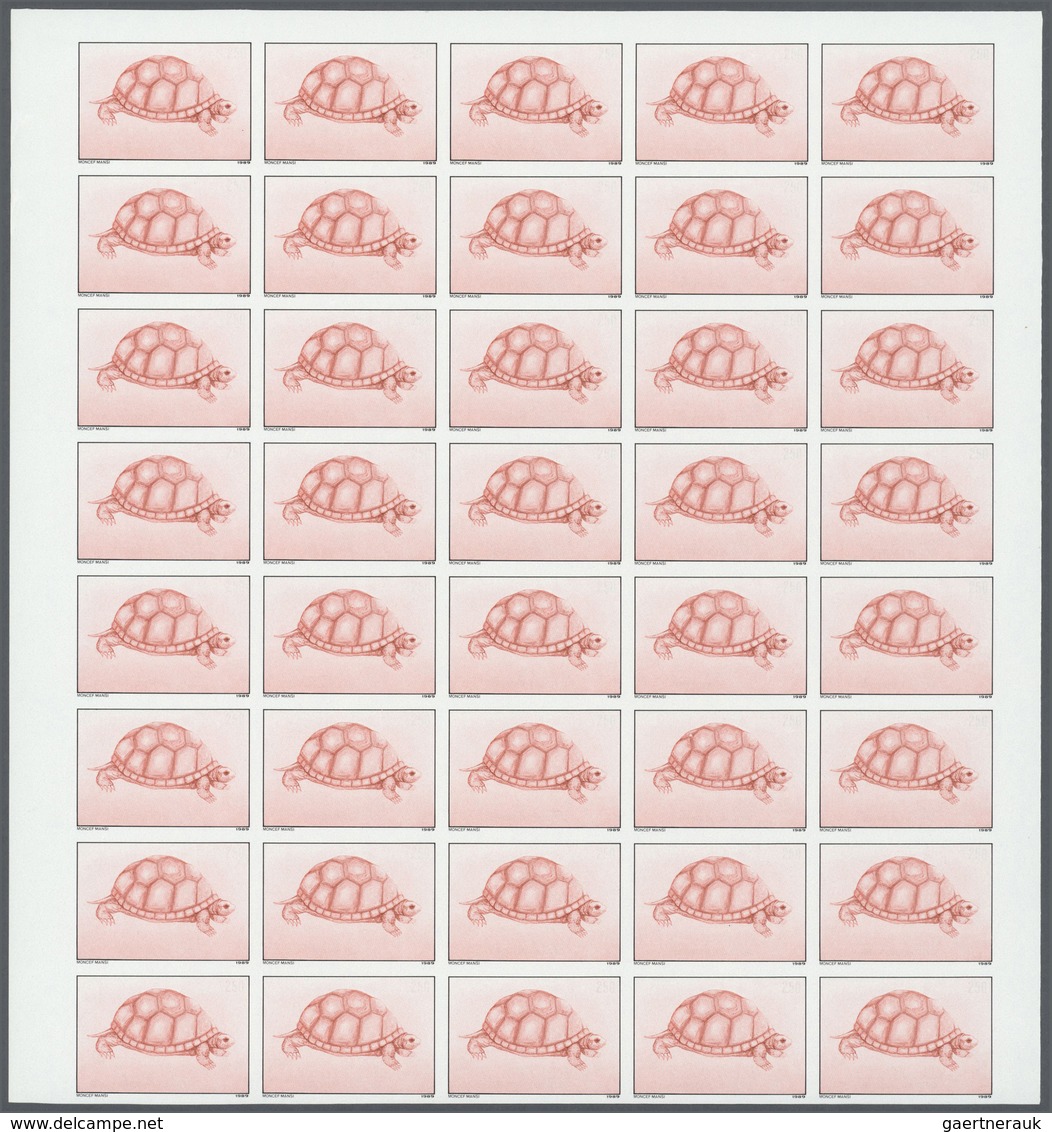 25787 Thematik: Tiere-Schildkröten / Animals-turtles: 1989, Tunisia. Progressive Proofs Set Of Sheets For - Tortues