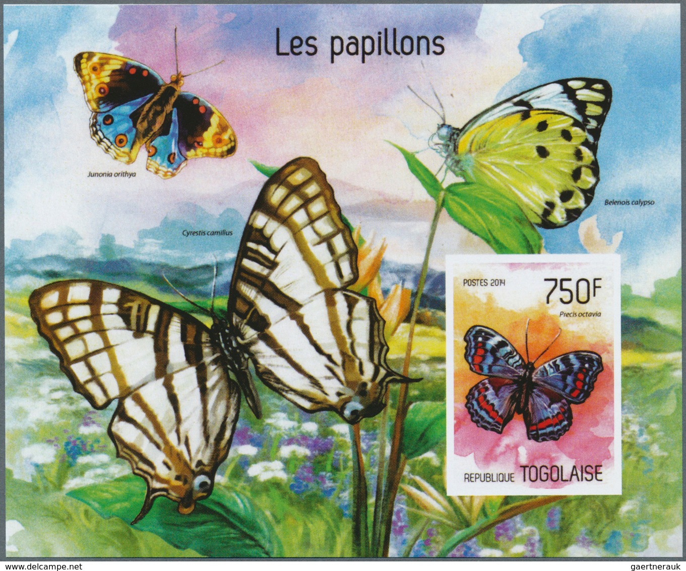 25793 Thematik: Tiere-Schmetterlinge / Animals-butterflies: 1960/2000 (approx), Various Countries. Accumul - Papillons