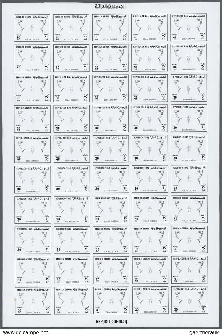 25803 Thematik: Tiere-Schmetterlinge / animals-butterflies: 1980, Iraq. Progressive proofs set of sheets f