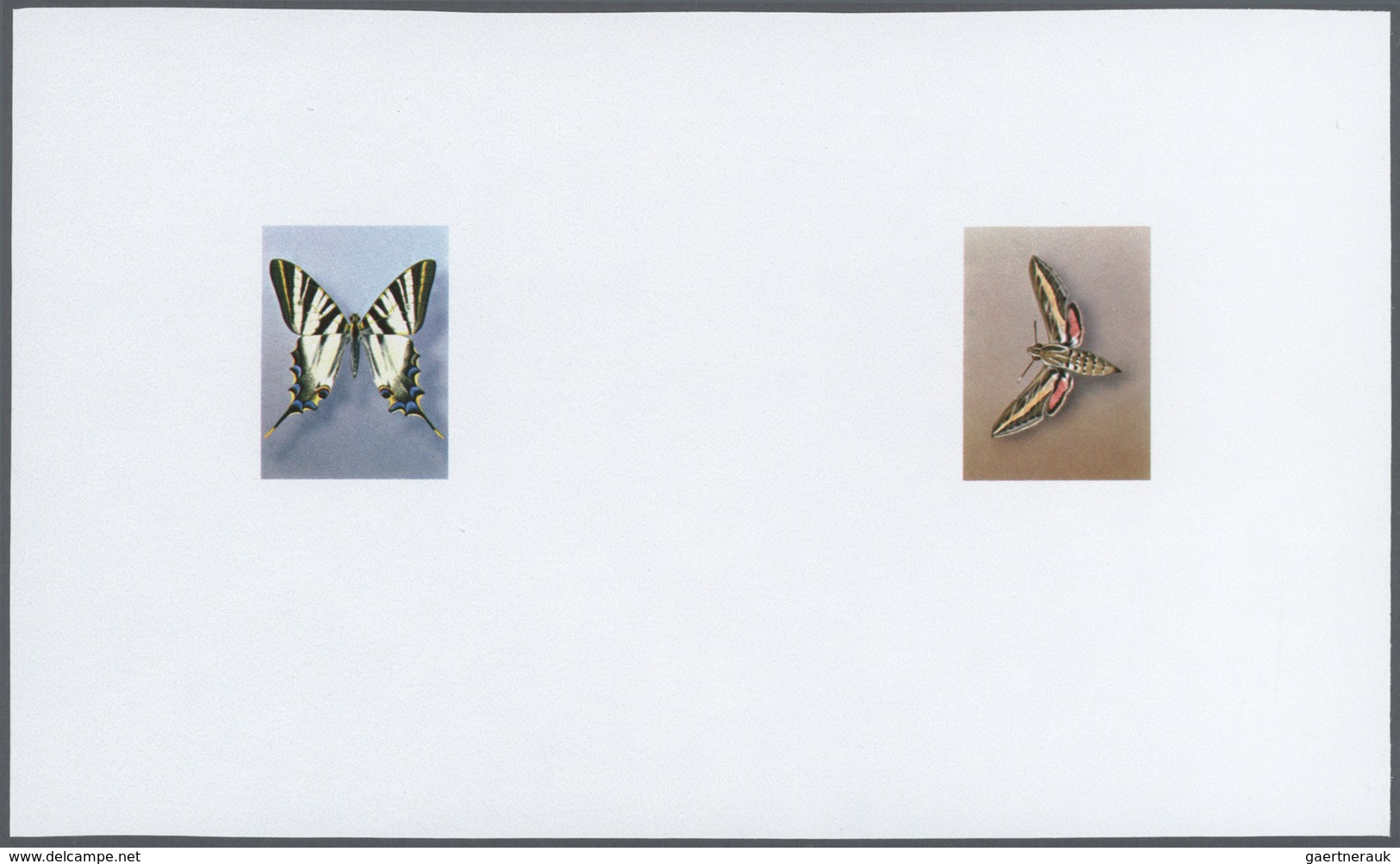 25804 Thematik: Tiere-Schmetterlinge / Animals-butterflies: 1981/1982, Morocco. Composite, Progressive Pro - Papillons