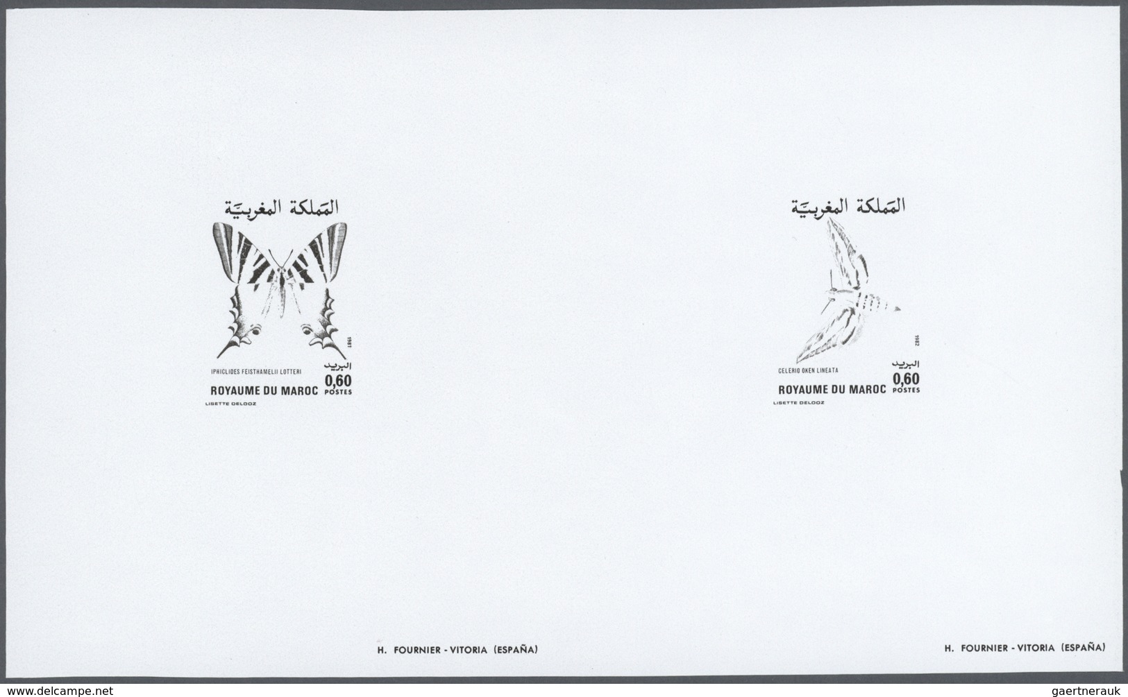 25804 Thematik: Tiere-Schmetterlinge / Animals-butterflies: 1981/1982, Morocco. Composite, Progressive Pro - Papillons