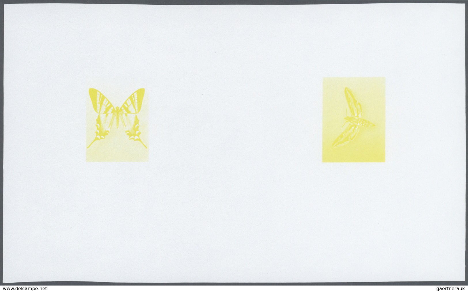 25804 Thematik: Tiere-Schmetterlinge / Animals-butterflies: 1981/1982, Morocco. Composite, Progressive Pro - Papillons