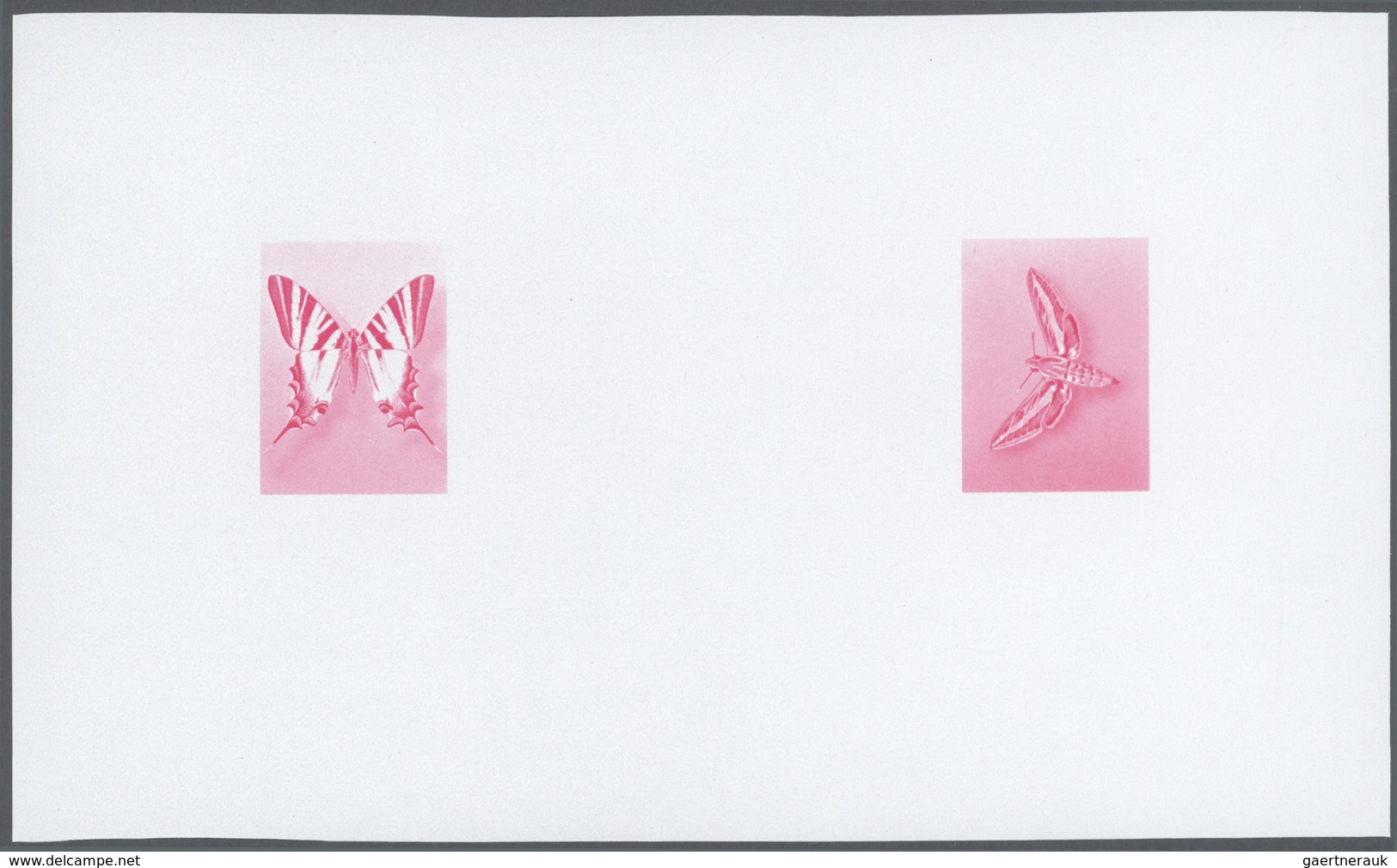 25804 Thematik: Tiere-Schmetterlinge / Animals-butterflies: 1981/1982, Morocco. Composite, Progressive Pro - Papillons