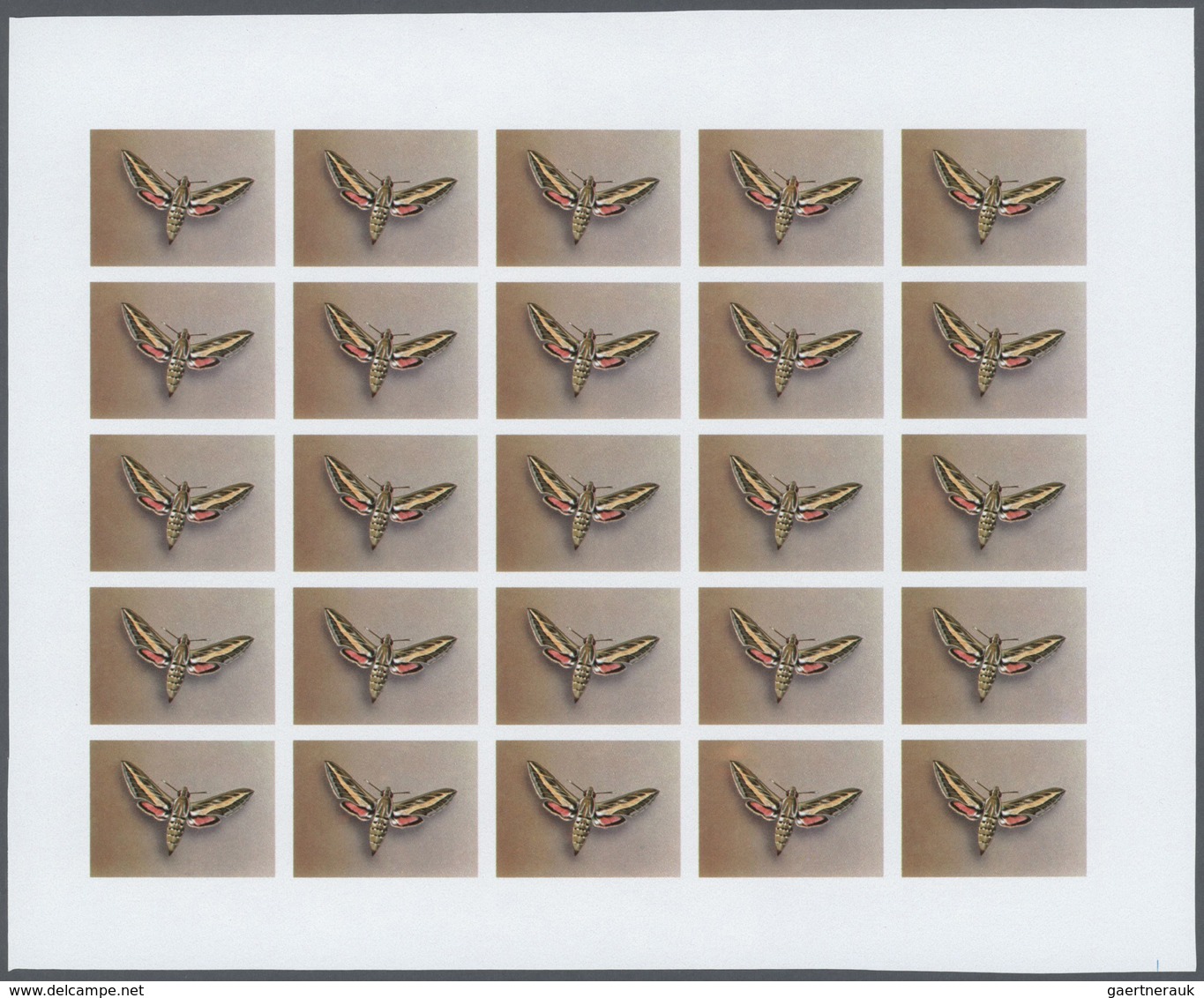 25806 Thematik: Tiere-Schmetterlinge / Animals-butterflies: 1982, Morocco. Progressive Proofs Set Of Sheet - Papillons