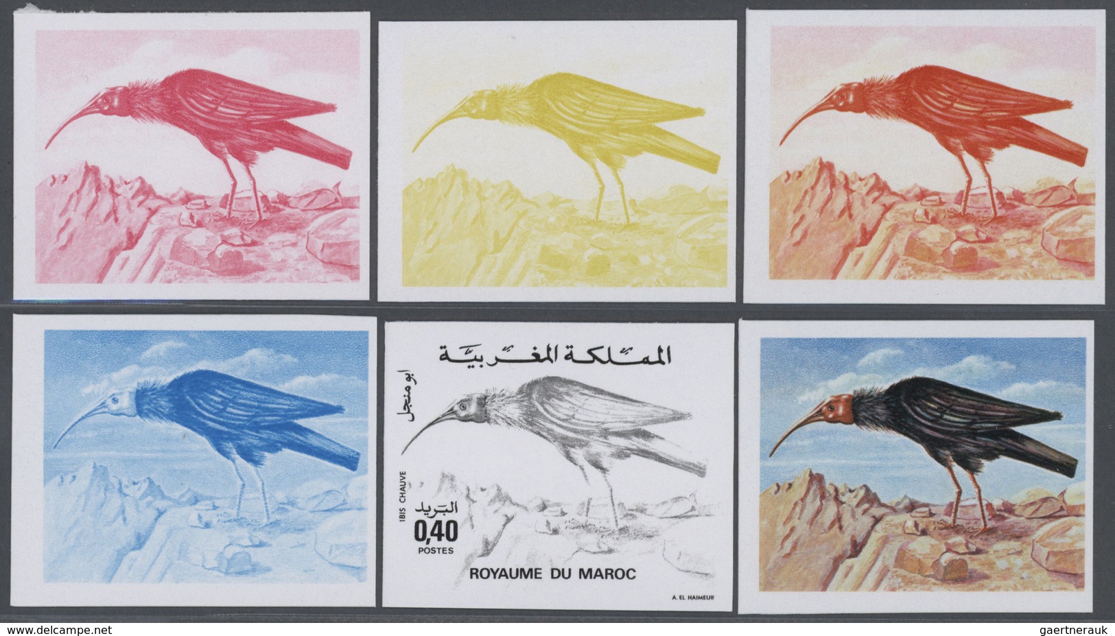 25828 Thematik: Tiere-Vögel / Animals-birds: 1975, Morocco. Lot Containing Progressive Proofs (6 Phases) F - Autres & Non Classés