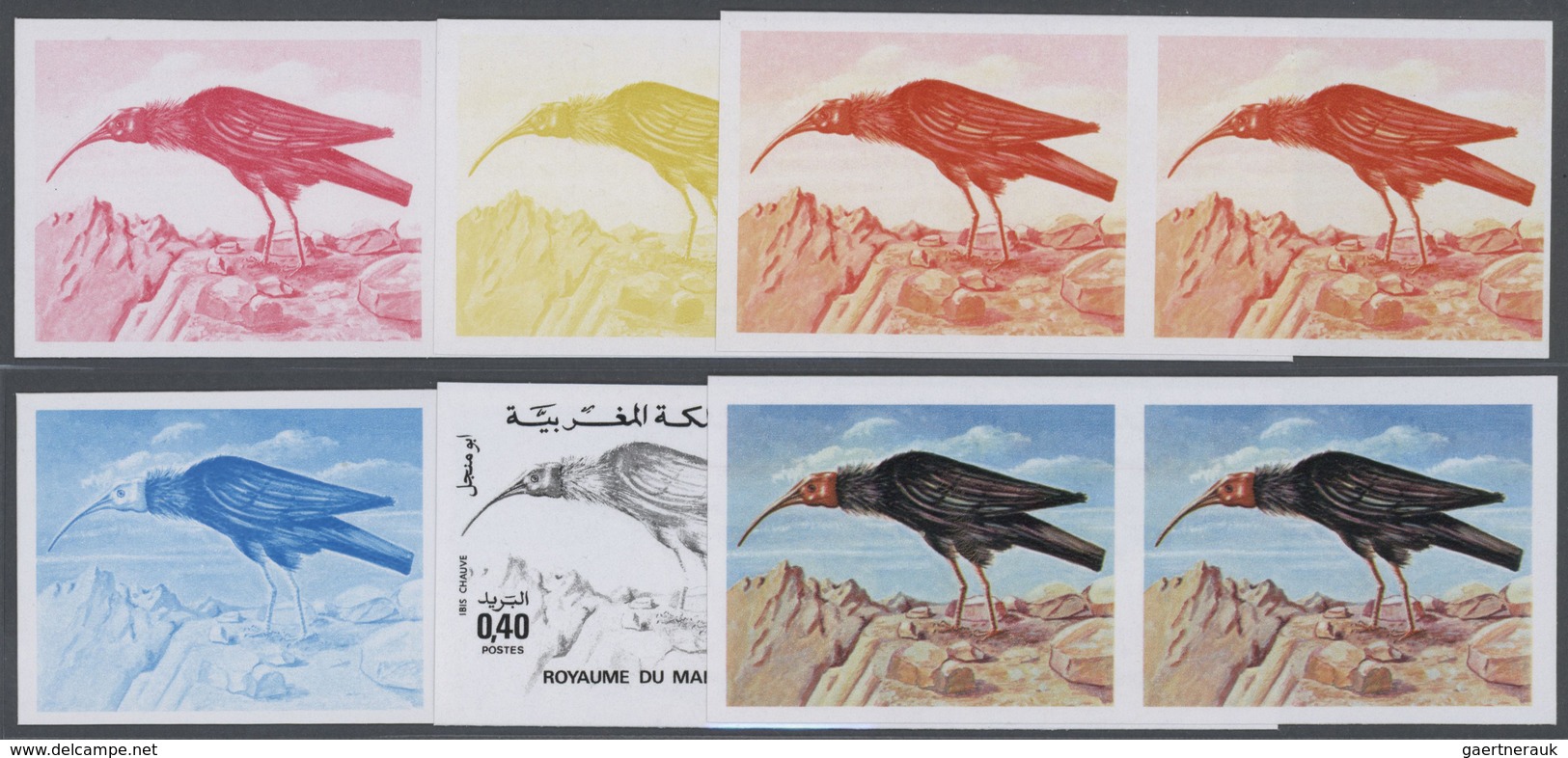 25828 Thematik: Tiere-Vögel / Animals-birds: 1975, Morocco. Lot Containing Progressive Proofs (6 Phases) F - Autres & Non Classés