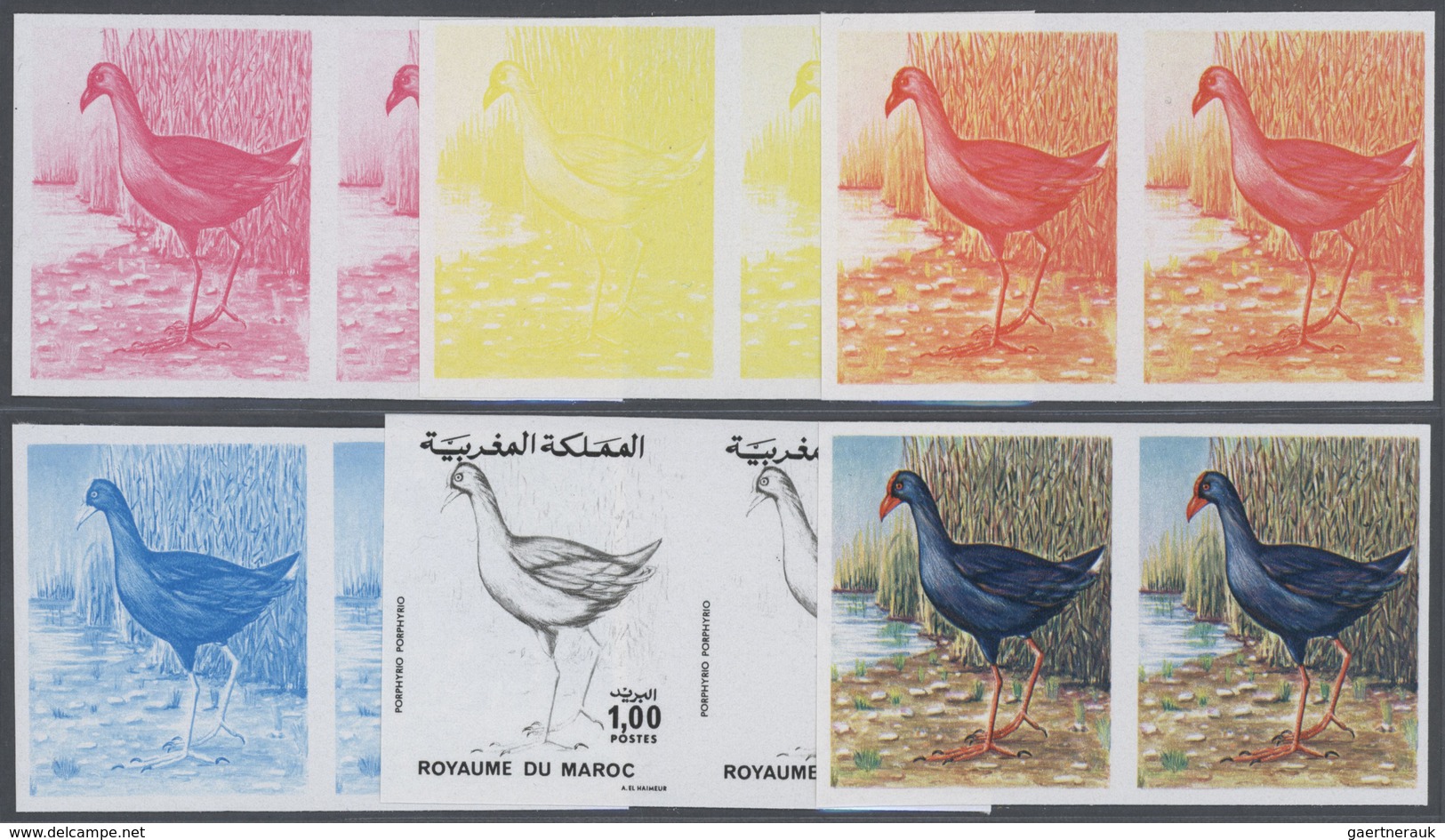 25829 Thematik: Tiere-Vögel / Animals-birds: 1976, Morocco. Lot Containing Progressive Proofs (6 Phases) F - Autres & Non Classés