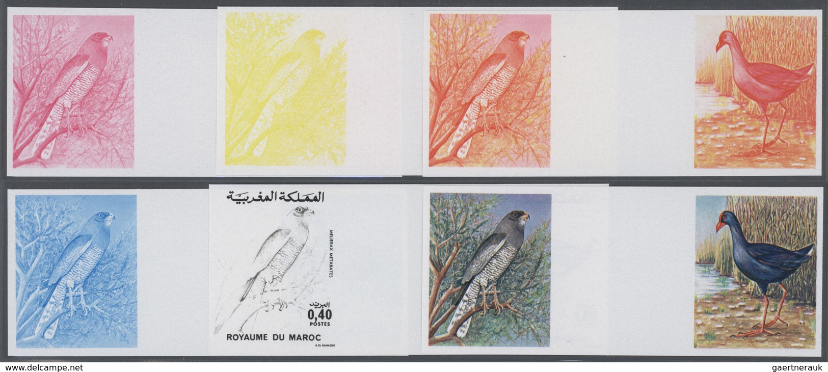 25831 Thematik: Tiere-Vögel / Animals-birds: 1976, Morocco. Lot Containing Progressive Proofs (6 Phases) F - Autres & Non Classés