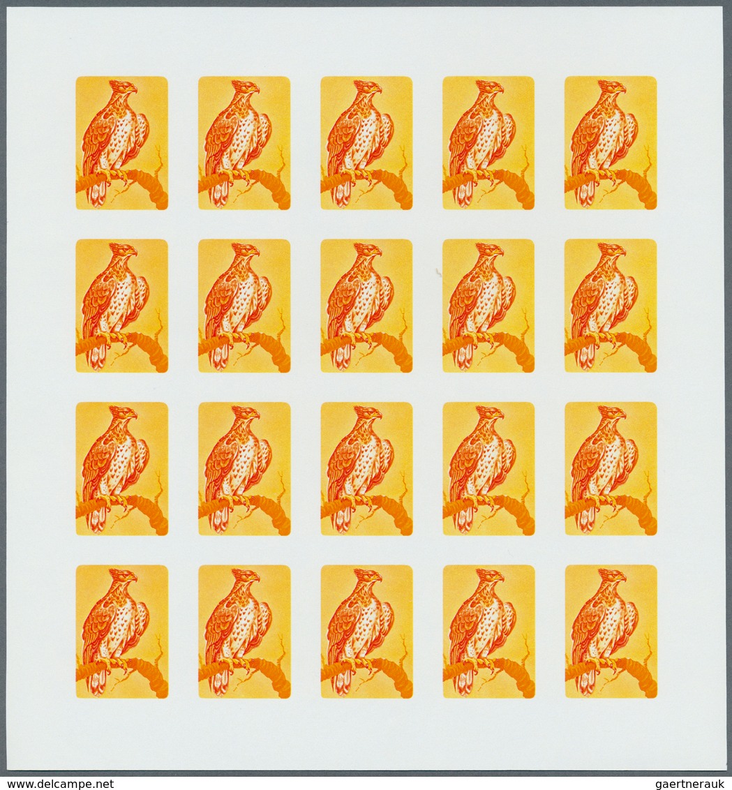 25832 Thematik: Tiere-Vögel / animals-birds: 1979, Burundi. Progressive proofs set of sheets for the BIRDS