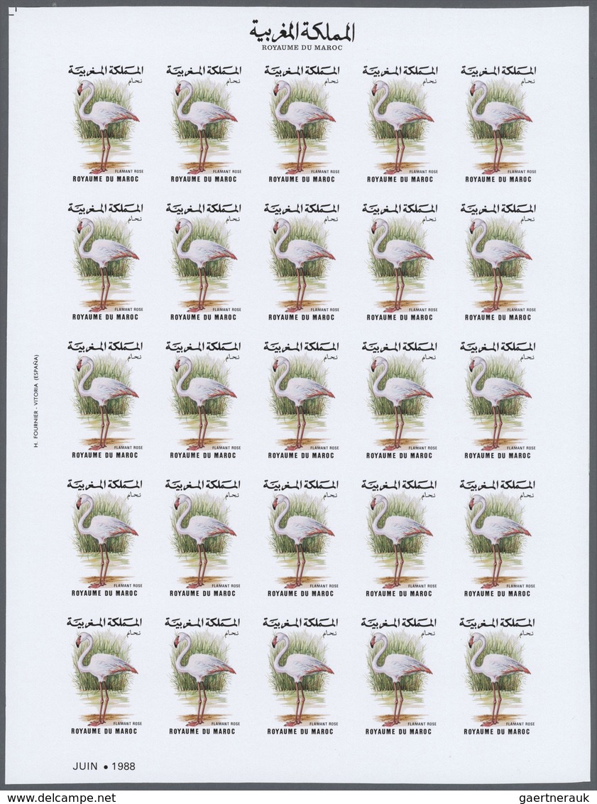25835 Thematik: Tiere-Vögel / Animals-birds: 1988, Morocco. Progressive Proofs Set Of Sheets For The Issue - Autres & Non Classés