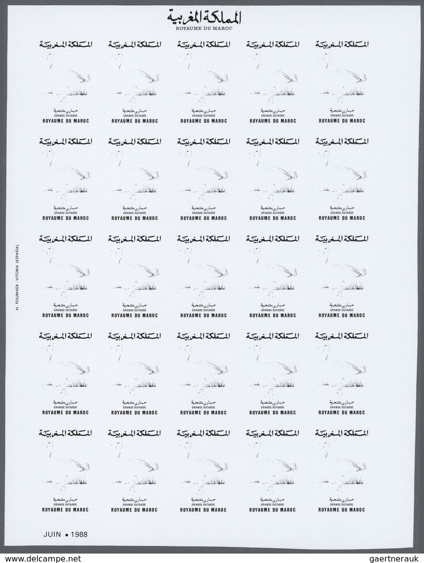 25835 Thematik: Tiere-Vögel / Animals-birds: 1988, Morocco. Progressive Proofs Set Of Sheets For The Issue - Autres & Non Classés