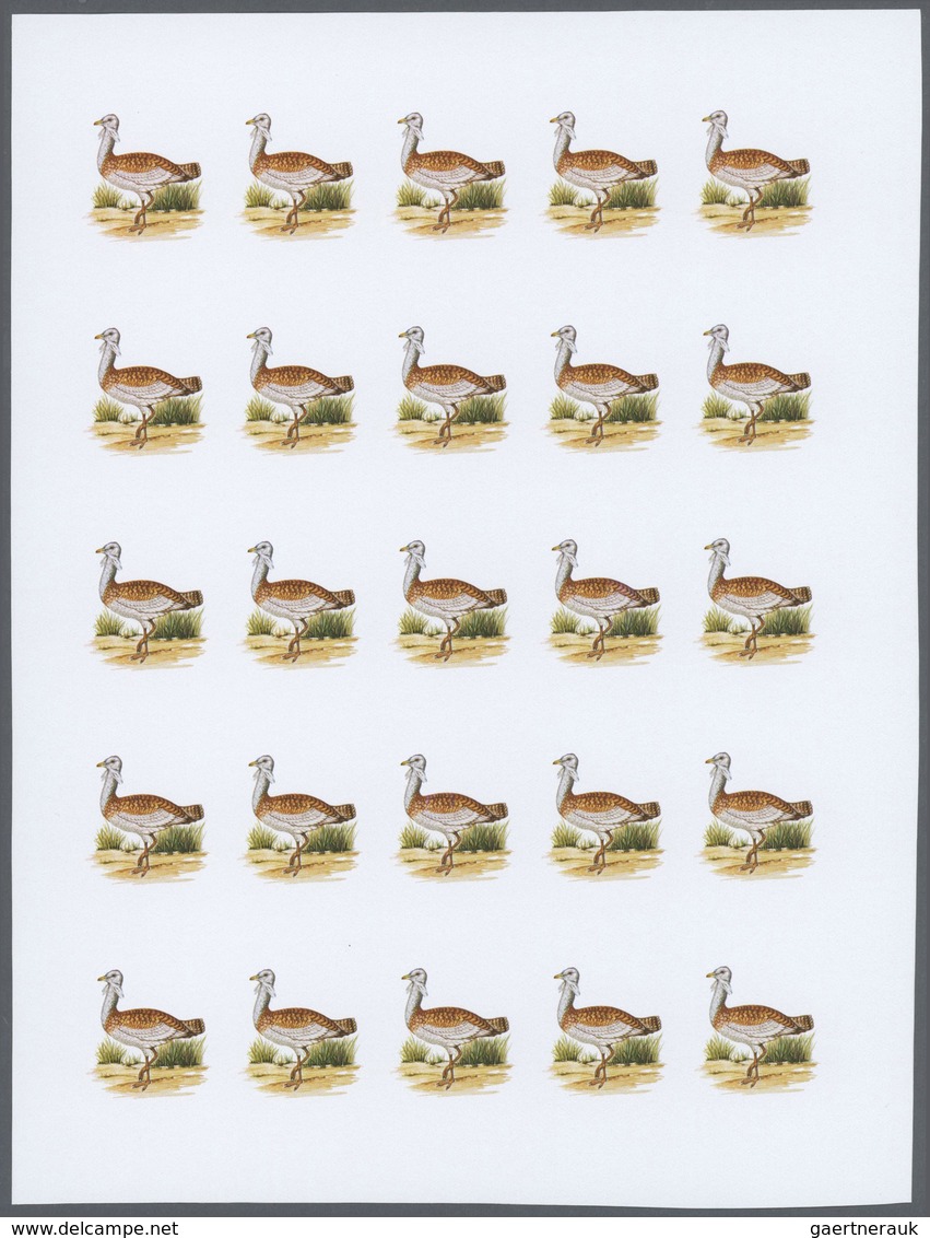 25835 Thematik: Tiere-Vögel / Animals-birds: 1988, Morocco. Progressive Proofs Set Of Sheets For The Issue - Autres & Non Classés