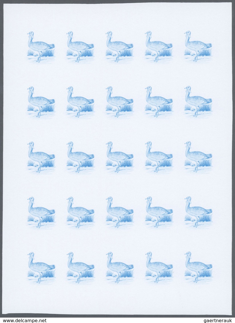 25835 Thematik: Tiere-Vögel / animals-birds: 1988, Morocco. Progressive proofs set of sheets for the issue