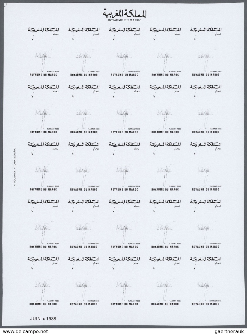 25835 Thematik: Tiere-Vögel / animals-birds: 1988, Morocco. Progressive proofs set of sheets for the issue