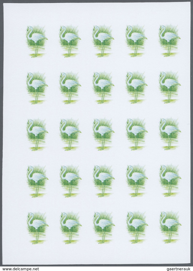 25835 Thematik: Tiere-Vögel / animals-birds: 1988, Morocco. Progressive proofs set of sheets for the issue