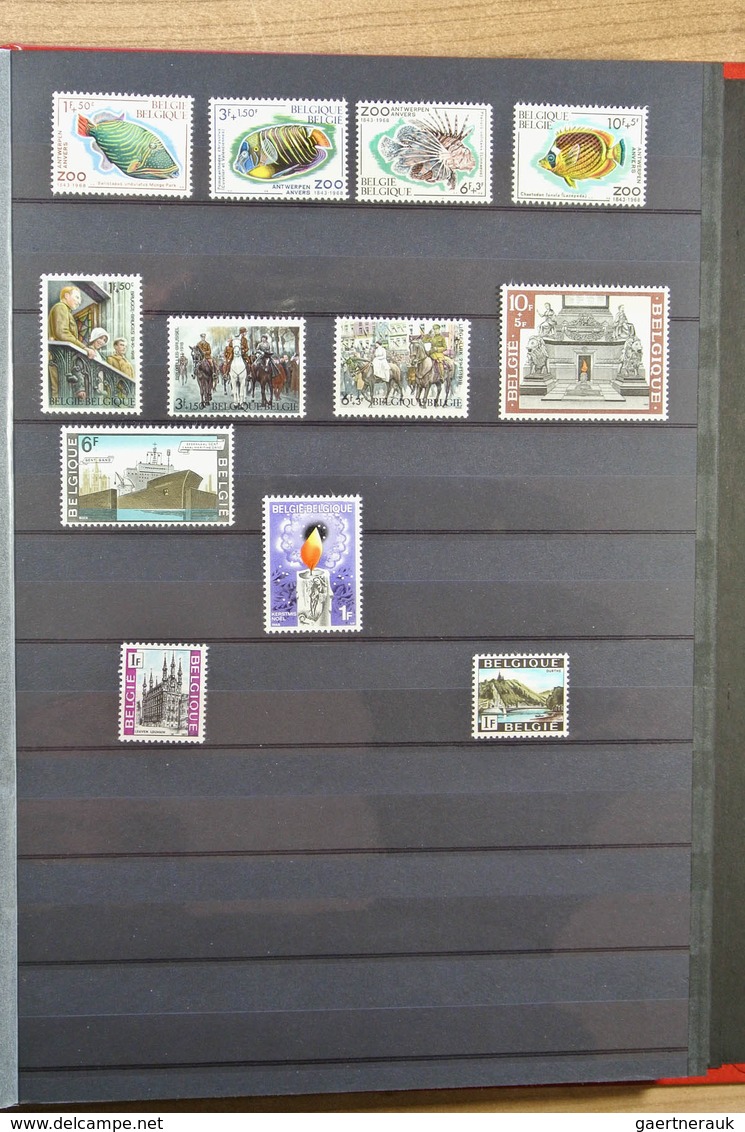 26123 Belgien: 1963-2009. MNH Lot Belgium 1963-2009 In 4 Stockbooks. Lot Contains Very Much Material, Incl - Autres & Non Classés