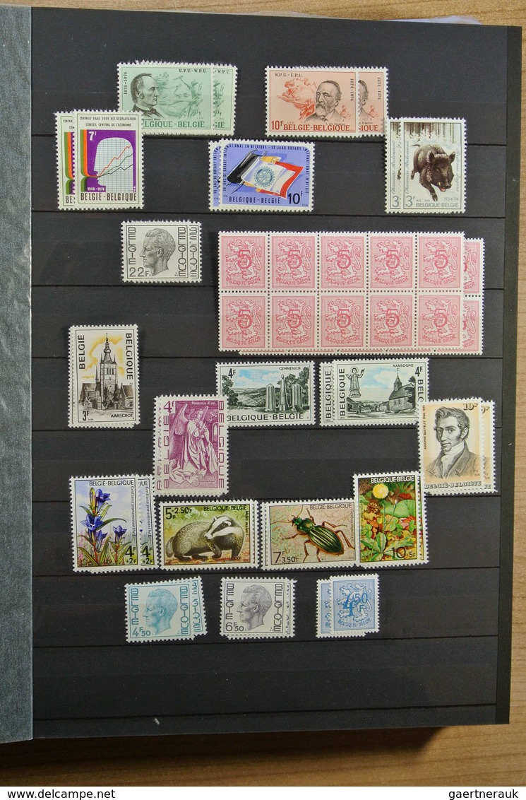 26123 Belgien: 1963-2009. MNH lot Belgium 1963-2009 in 4 stockbooks. Lot contains very much material, incl