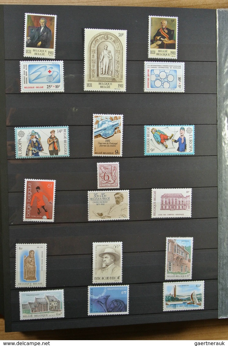 26123 Belgien: 1963-2009. MNH lot Belgium 1963-2009 in 4 stockbooks. Lot contains very much material, incl