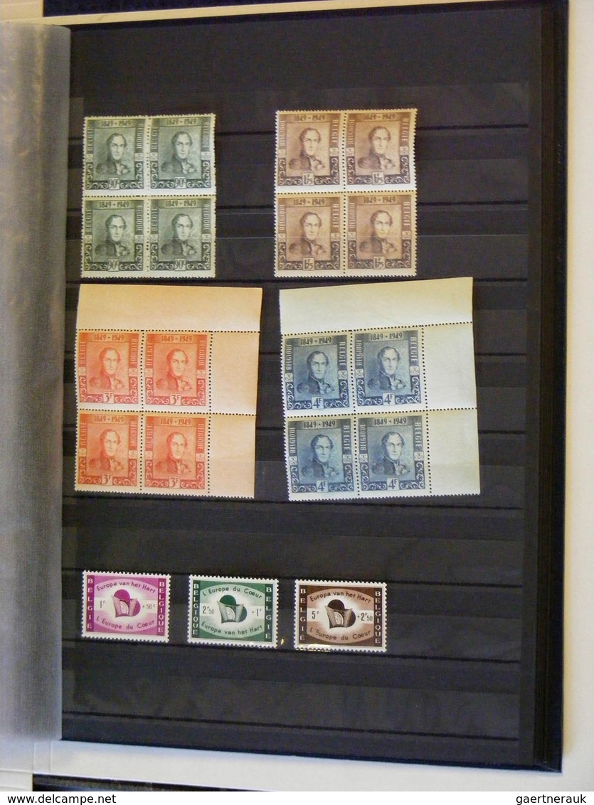 26129 Belgien: Stockbook with mostly better MNH, mint hinged and used material of Belgium. Nice assortment