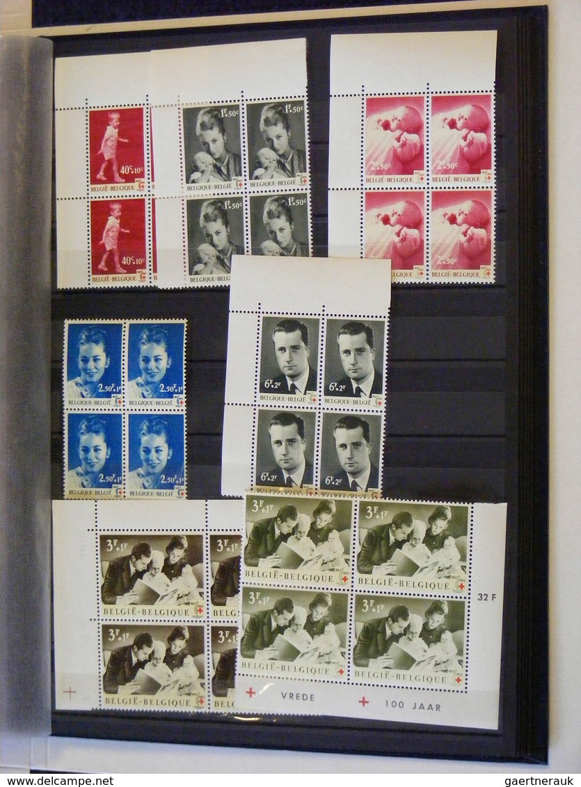 26129 Belgien: Stockbook with mostly better MNH, mint hinged and used material of Belgium. Nice assortment