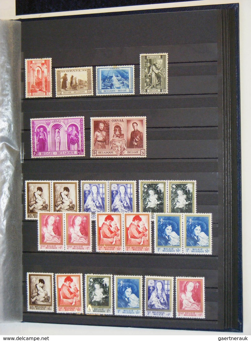 26129 Belgien: Stockbook with mostly better MNH, mint hinged and used material of Belgium. Nice assortment