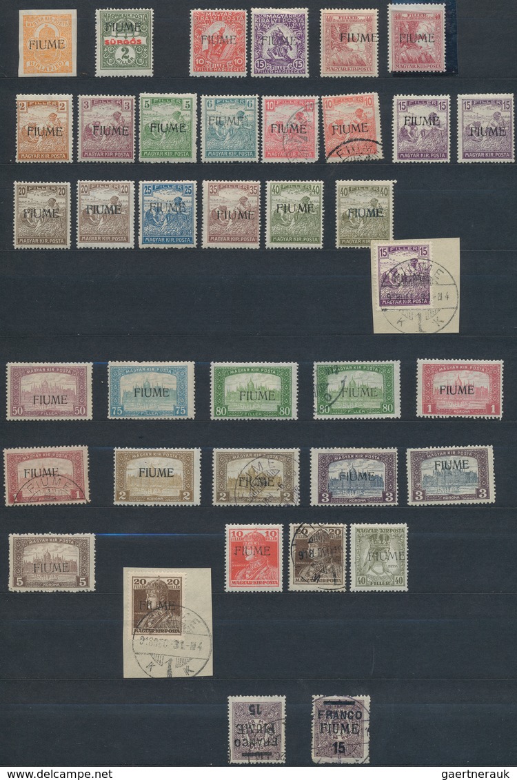26343 Fiume: 1918/1924, Mint And Used Collection On Large Stockcards, Well Sorted And Filled Throughout Wi - Fiume