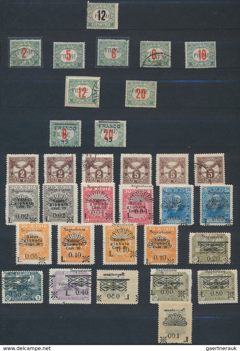 26343 Fiume: 1918/1924, Mint And Used Collection On Large Stockcards, Well Sorted And Filled Throughout Wi - Fiume