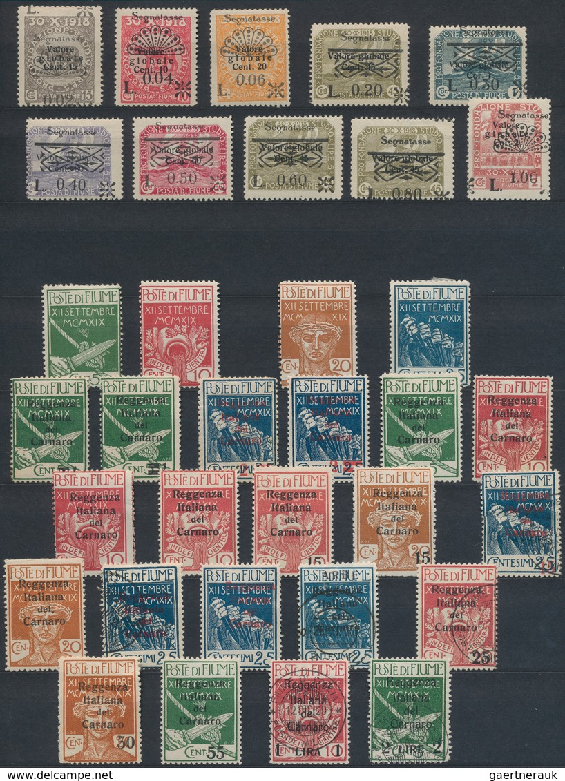 26343 Fiume: 1918/1924, Mint And Used Collection On Large Stockcards, Well Sorted And Filled Throughout Wi - Fiume