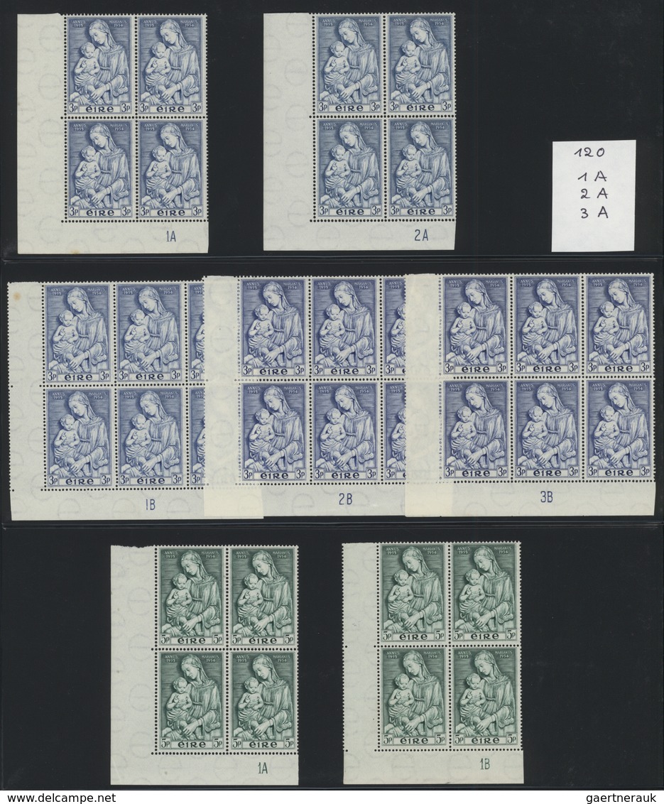 26829 Irland: 1952/1981, Unmounted Mint Collection Of Apprx. 570 Plate Blocks, Well Sorted In A Binder, Ap - Lettres & Documents