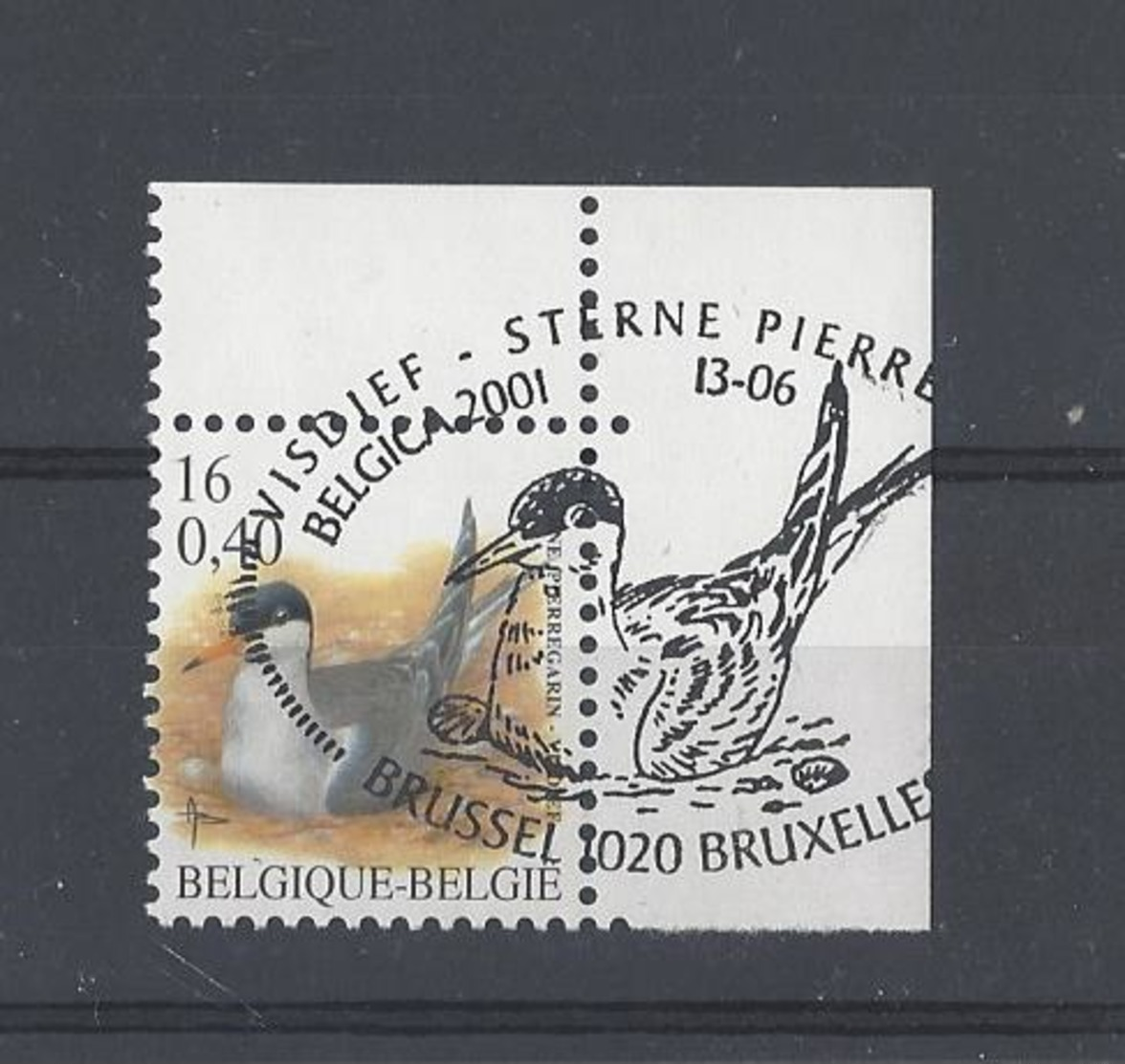 Buzin Mooi Gestempeld - 1985-.. Vogels (Buzin)