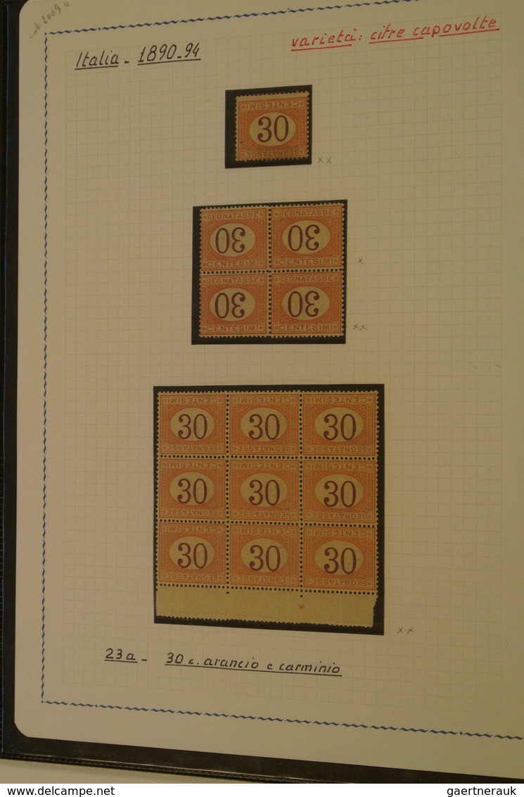 27027 Italien - Portomarken: 1890/94: Mint/used Specialised Collection Incl. Inverted Values Incl. Multipl - Taxe