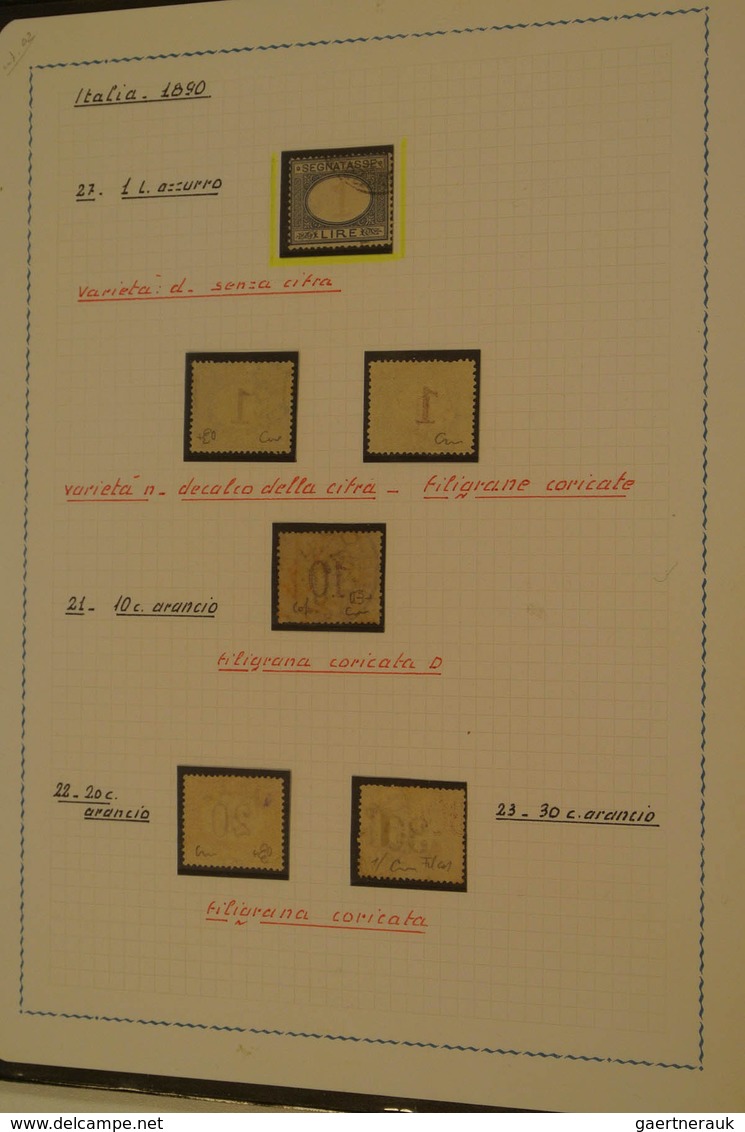 27027 Italien - Portomarken: 1890/94: Mint/used Specialised Collection Incl. Inverted Values Incl. Multipl - Taxe