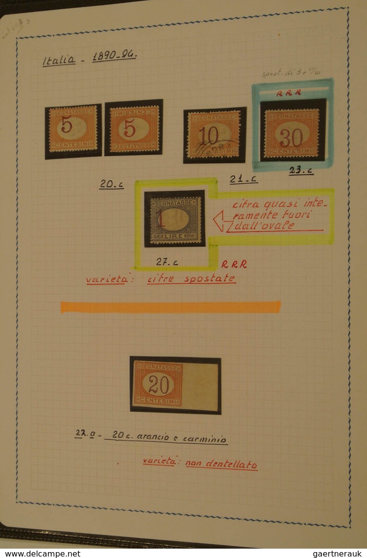 27027 Italien - Portomarken: 1890/94: Mint/used Specialised Collection Incl. Inverted Values Incl. Multipl - Taxe