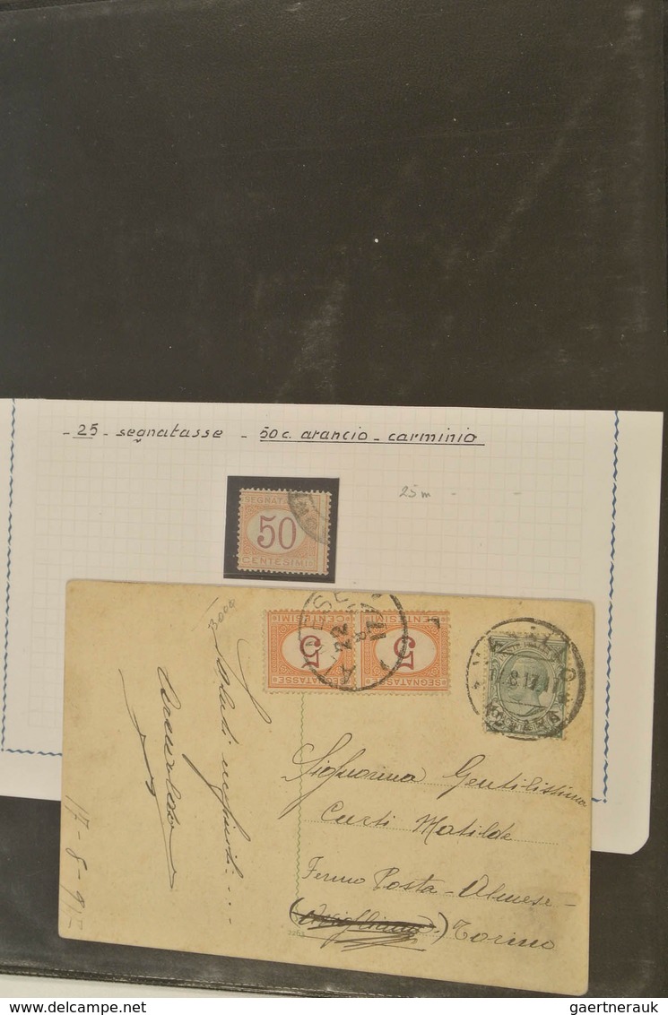 27027 Italien - Portomarken: 1890/94: Mint/used Specialised Collection Incl. Inverted Values Incl. Multipl - Taxe