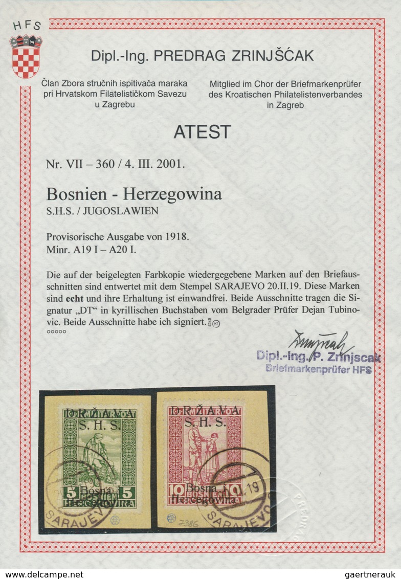 27065 Jugoslawien: 1918/1919, Overprints on Bosnia (Express stamps, Invalids stamps and Newspaper stamps),