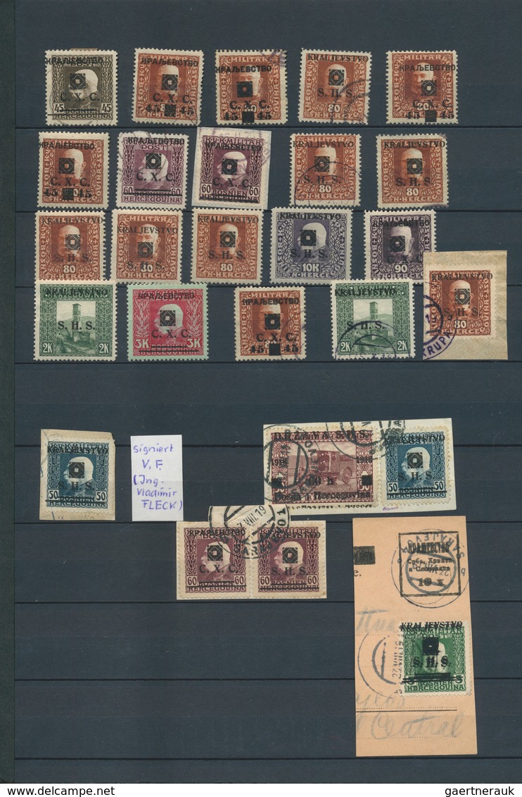 27071 Jugoslawien: 1919, Kraljevstvo Overprints On Bosnia, Specialised Assortment/collection Of Apprx. 209 - Storia Postale